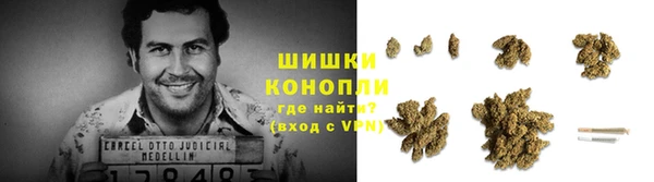 сатива Армянск