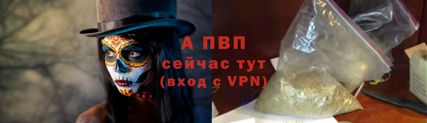 сатива Армянск
