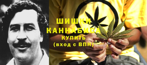 трава Арсеньев