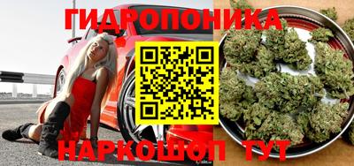 mdpv Партизанск