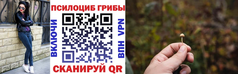 где можно купить наркотик  Солнечногорск  Псилоцибиновые грибы Cubensis 