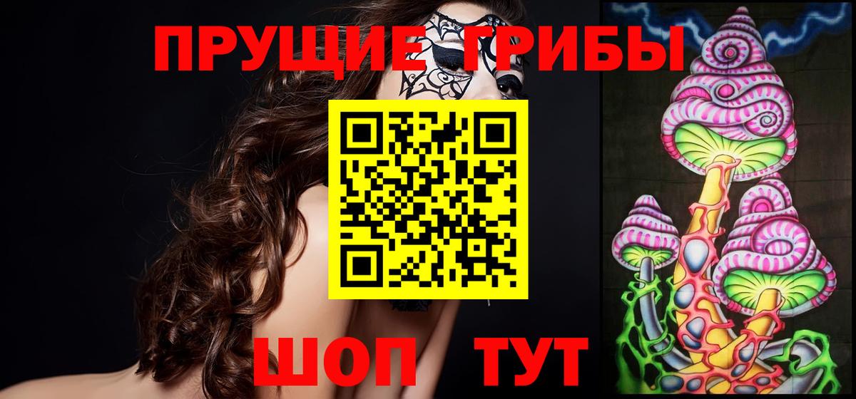 Псилоцибиновые грибы GOLDEN TEACHER Солнечногорск