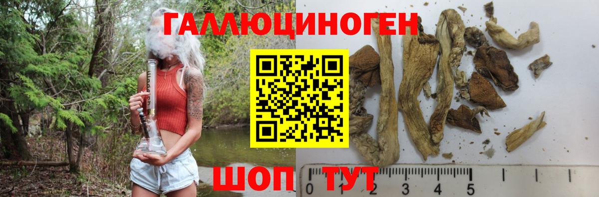 сколько стоит  Галлюциногенные грибы GOLDEN TEACHER  Псилоцибиновые грибы ЛСД  Вход с VPN  Солнечногорск 