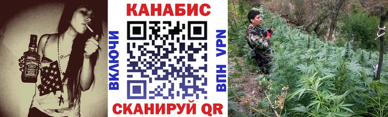 МАРИХУАНА SATIVA & INDICA  магазин  наркотиков  Солнечногорск 